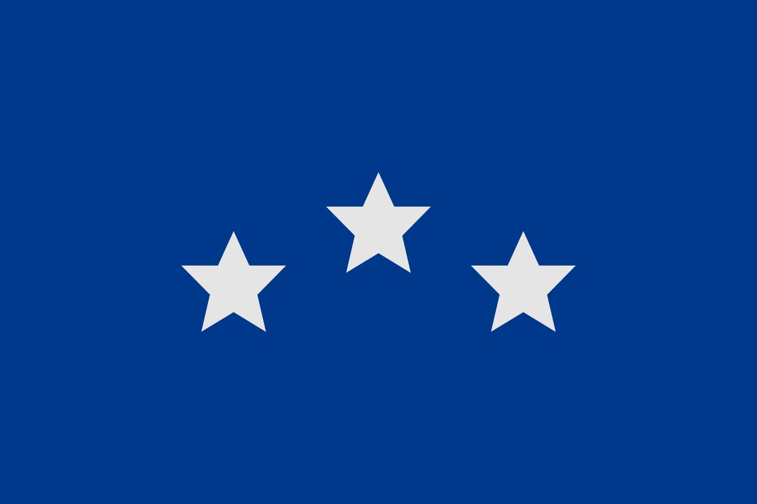 Drapeau Large Ameghino pour vos rassemblements et meetings politiques