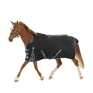 Equinavia Norse No Fill Horse Rain Blanket (0g) | Waterproof Lightweight Turnout Sheet – Black – 66 in – Black – 66 in