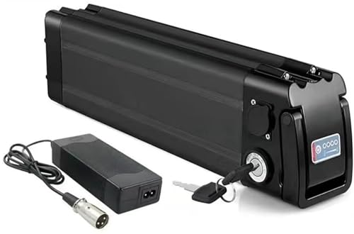 E-Bike Akku 36V 48V 15Ah 20Ah 25Ah, Elektrofahrrad Batterie 36V 48V E-Bike Lithium Batterie 15Ah 20Ah 25Ah Led Kontrollleuchte Für 250W 500W 1000W Motoren Mit Ladegerät 48V 15AH,1
