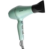 Taiff Style Hair Dryer Ionsense Silver, 125V, Fast Drying, Frizz-Reducing Ionic Ceramic, 1875W, Lightweight Blow Dryer with Diffuser for Curly Hair, Professional Performance - GREEN