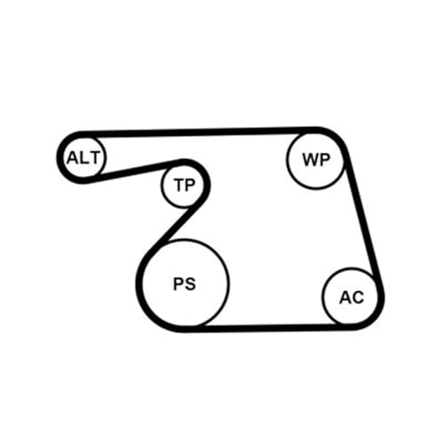 Kit Contitech 6PK1318WP1 de correa de accesorios y bomba de agua para motor 2