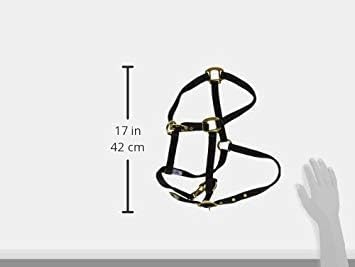 Hamilton 8DAS AVBK 3/4-Inch Nylon Arabian Horse Halter for 800 to 1100-Pound Horse, with Adjustable Chin and Throat Snap, Black