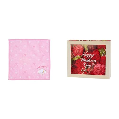 y̓ZbgizTI(SANRIO) TI v`^I ݂ RM~ COGIMYUN 20×20×0.3cm v`^I LN^[ 261327 SANRIO +TI bZ[WJ[h t[{bNX