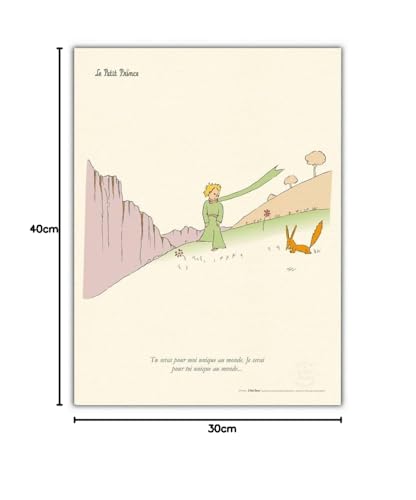 Póster El Principito y el Zorro 30x40cm para Salón o Cuarto Infantil 4