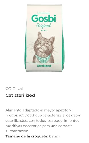 Recopilación de G de gato - 5 favoritos. 10 Imagen adicional