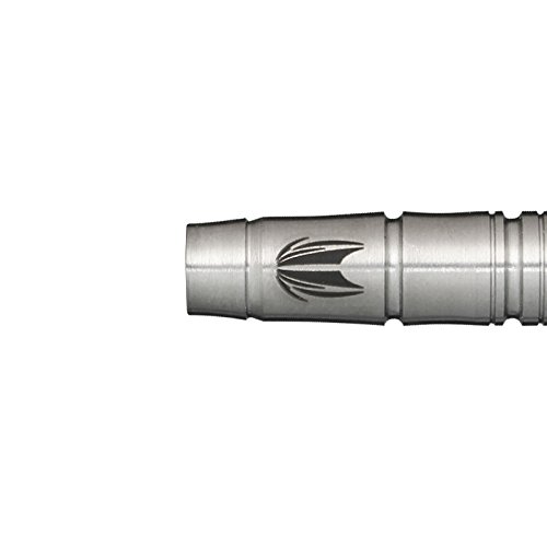 Amazon | 【Target】HADES80 野毛駿平 ターゲットダーツ ハデス