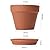 KOAMLY 6Pcs 5incn Plant Nursery pots, Mini Planter with Drain, Succulent Seedling Planter, use with Indoor, windowsill, Terra Cotta red Flower pots Wedding Decoration Best Gift for Aunts (5)