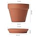KOAMLY 6 PCS Clay pots and Plates, 5-inch red Clay pots with Drainage, Perfect for Indoor, windowsill, and Garden Plants