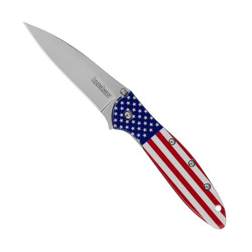 Image of Kershaw Leek, BlackWash Pocket Knife (1660BLKW); 3 Sandvik 14C28N Steel Blade, 410 Stainless Steel Handle, BlackWash Finish, SpeedSafe Assisted Open, Frame and Tip Locks, Reversible Pocketclip; 3 OZ
