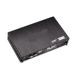 Dikaman P1-C7 Mono-Endstufe Audioverstärker