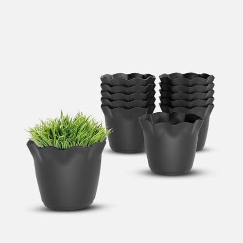 Image of YUCCABE ITALIA SHERA Flower Plastic Flower Pot Unbreakable Round Shape Planter with Drainage Holes Planter Suitable for Home Garden Seedling Indoor and Outdoor (Grey, 4 INCH - 12 Pcs)