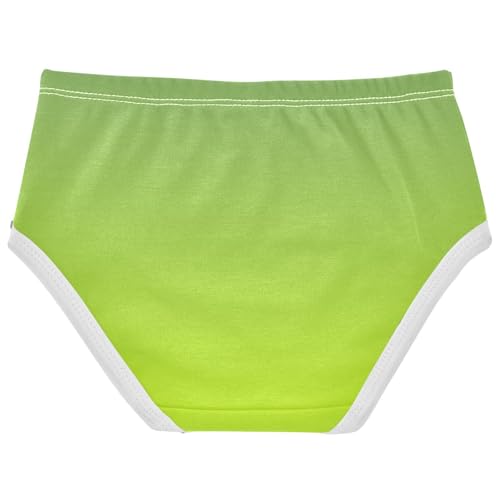 Joisal Dinosaur Green Light Lime Gradient Toddler Girls Underwear 2t Cotton Cute Panties Girl Fun Briefs Girls Undies2