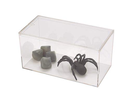 Pioneer Plastics 083Caqua Clear Rectangular Plastic Desktop Aquarium, 7.75" W X 3.75" D X 3.75" H #TOP1