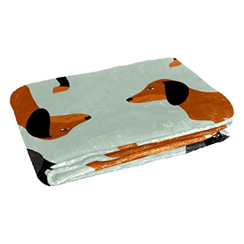 Couverture chaude teckel en textile premium 150 x 100 - 3