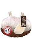 Elefantenknoblauch zum Stecken ca. 250g, direkt vom Erzeuger aus Frankreich, große Zehen, Pflanzknoblauch, Riesenknoblauch (Elefantenknoblauch)