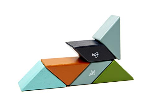 Image of 6 Piece Tegu Pocket Pouch Prism Magnetic Wooden Block Set, Nelson