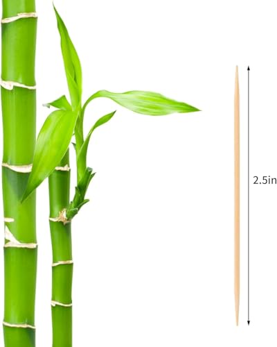 Image of Damuzhi 1PS Toothpick Holder with 550 Count Bamboo Toothpicks