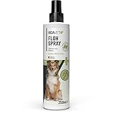 ReaVET Anti Flohspray für Hunde 250ml – Natürliches Flohmittel Hund ohne Chemie bei Befall & vorbeugend mit Langzeitschutz, Floh Spray auch für Welpen, Textilien, Wohnung und Umgebung geeignet
