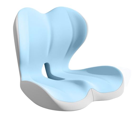 �ᔽ���̍��ʂƔw������̃N�b�V�����́A�f�X�N���[�N��^�]���ɒ����ԍ���̂ɍœK�ł��B���K�ȃN�b�V�����ł��B