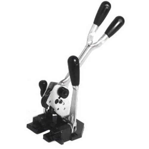 Tendireggia X Reggia Pl. Mm13