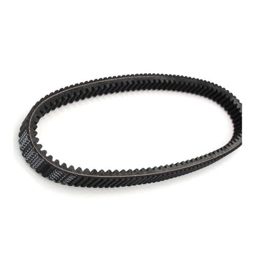 I[goCphCuxggXt@[ XP fB[[ 4 1000 ACE 500 RZR S 570 3211196 ANZT[ɓK