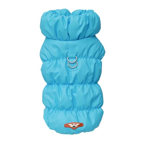 _炩g ~p pbh q Lp R[g WPbg ^ ^ ` t`uhbO v[h xXg ybgp (DLBlue,S)