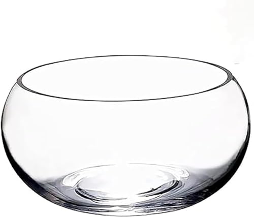 pisipe   ی^ KXe   ^   KX{g ACe I ƒ ڎ (25)