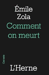 Book's Cover of Comment on meurt
