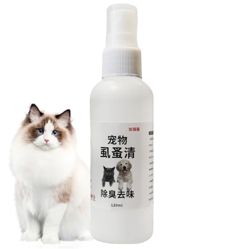 Lp_jXv[ | 120ml Lp}_jz[Xv[,L ʊQ쏜 ybg̃xbh \t@ rO[ Q ɗp