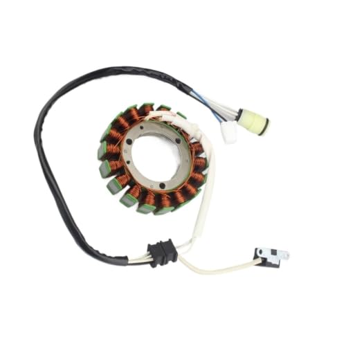 Bobine de stator 31120 004 000 pour moto et HS700 CREW
