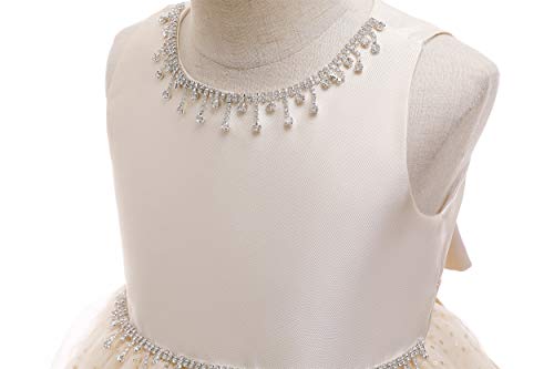 Weileenice Flower Girl Vintage Sequins Dress Photo Shoot Kids Birthday Party Evening Princess Wedding Bridesmaids Prom Ballgown Light Champagne 6 7 Girls Rhinestone Holiday Tulle Dresses Reception #TOP6
