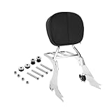 Questa combinazione di schienale sissy bar e portapacchi assicura idealmente al tuo passeggero un viaggio confortevole e aggiunge spazio per i bagagli