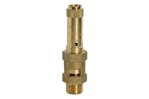 RIEGLER 104855-229.01-20,0 Sicherheitsventil, Messing, G 1/2, Ansprechdruck 20 bar, 1Stk