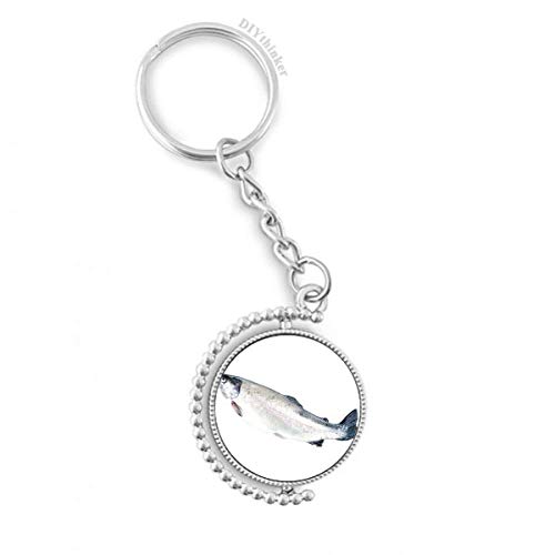 Evita enredos con el anillo de la cadena rotativo para pescado