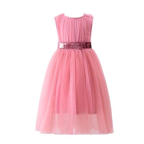Toddler Girl Tutu Dress Sleeveless A-Line Tulle Summer Dresses Party Casual Sundress with Belt