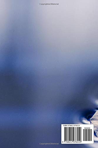 20 Guided Meditation Scripts for Stress & Anxiety: Mindfulness meditation, breathing exercises, body scans, imagery and visualization for anxiety, stress relief, panic attacks, and self-healing - Image 2