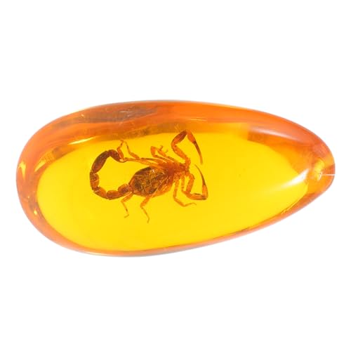 GLEAVI Real Insect Specimen for Fossilized Insect Stone Decor Ornament for Home