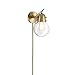 Amazon Brand – Rivet Mid-Century Modern Single Glass Globe Plug-In Wall Sconce With LED Light Bulb - 9.5 x 6.25 x 9.75 Inches, Gold Satin Brass - 21168-001