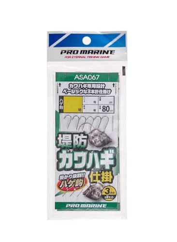 ASA067-6 hʷގd| 6 (3P)