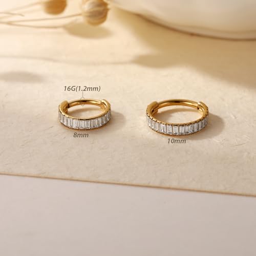 FUNLMO 316L Surgical Steel Hinged Segment Ring Conch Helix Septum Piercing Jewelry Nose Ring Hoop Huggie Earrings Small Hoop Earring3