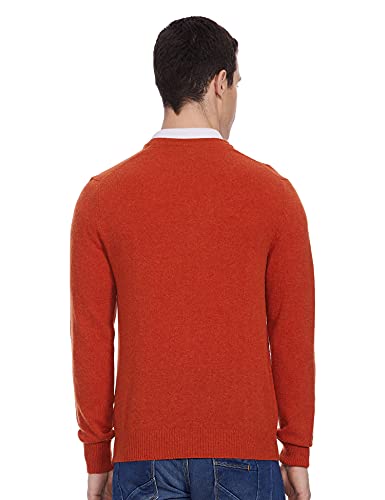 Image of U.S. POLO ASSN. Men's Cotton V-Neck Sweater