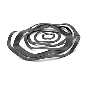 Manoud M10 Tellerfedern 10 Stück