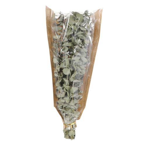 Ramo de Eucalipto Seco y Lavanda para Ducha miniatura 7
