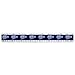 Blue Beetle Logo 12 Inch Standard and Metric Plastic Ruler