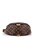 Louis Vuitton, Pre-Loved Bum Bag Monogram Canvas, Brown