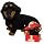 Squatting Position