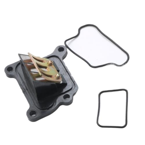 Caña para patinete TGB recambio de motor scooter 50cc R50X F409