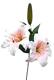artplants