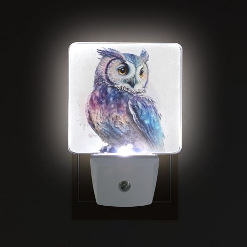Image of Owl Watercolor Night Lights 2 Pack Plug-in Wall Led Nightlight Auto Dusk-to-Dawn Sensor Lamps for Bedroom Kitchen Bathroom