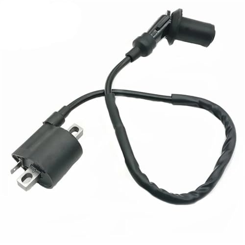 Système d'allumage YBR 125 résout les problèmes de démarrage moto 12V